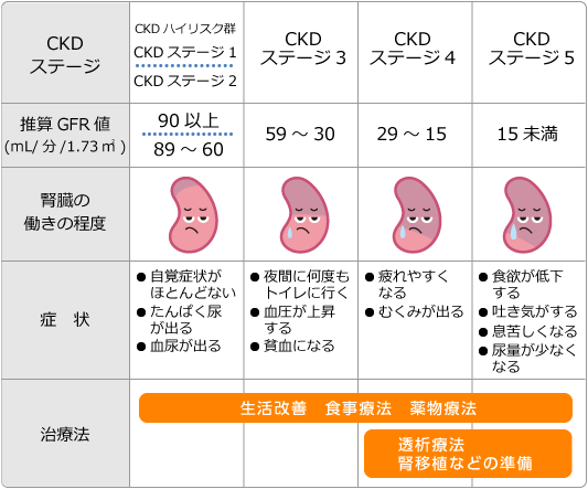 CKDステージ
ステージ1～ステージ5それぞれの腎臓の働き、症状、治療法